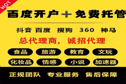 案例分析：SEM竞价代运营实现盈利增长